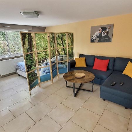 Le Rocher De Bel Air -40M2 -Chaleureux 3 Etoiles Saint-Aignan-Grand-Lieu Luaran gambar